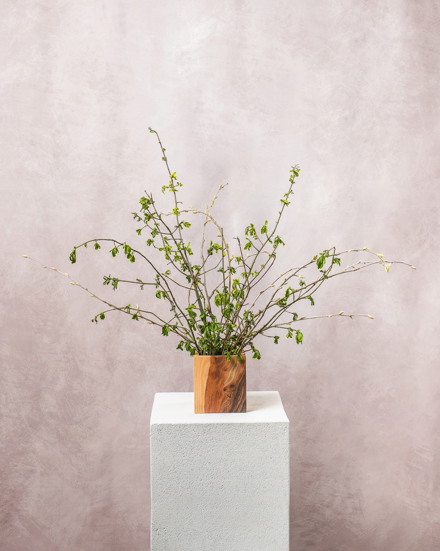 Quadra nizka lesena vaza