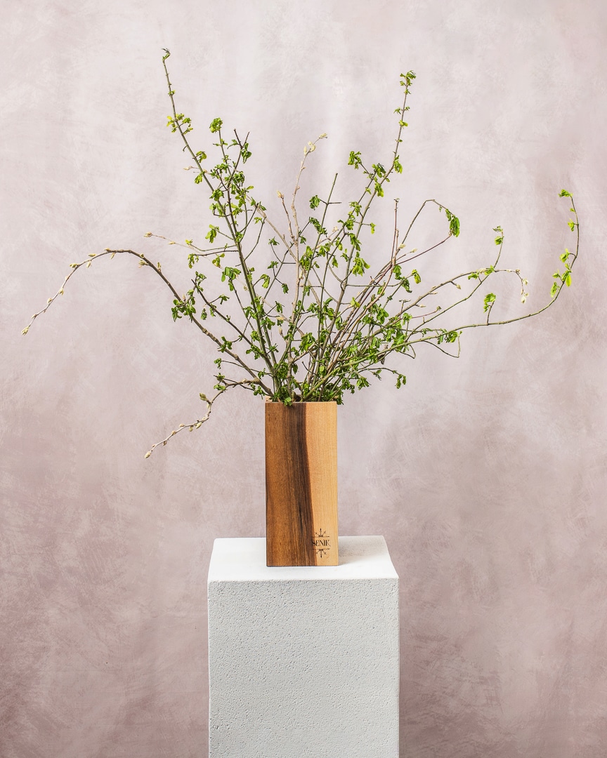 Quadra visoka lesena vaza iz lesa